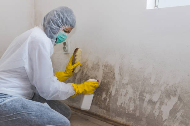 Best Post-Construction Mold Inspection  in Crooked River Ranch, OR
