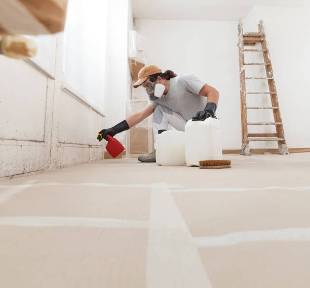 Best Mold Damage Restoration  in Crooked River Ranch, OR