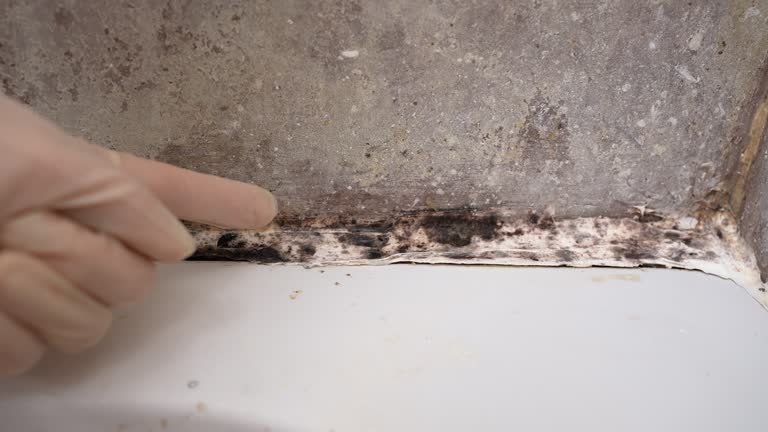 Best Commercial Mold Inspection  in Crooked River Ranch, OR